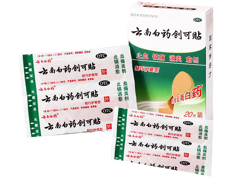 9游官网pc:两层防备机制陈述Word模板下载
